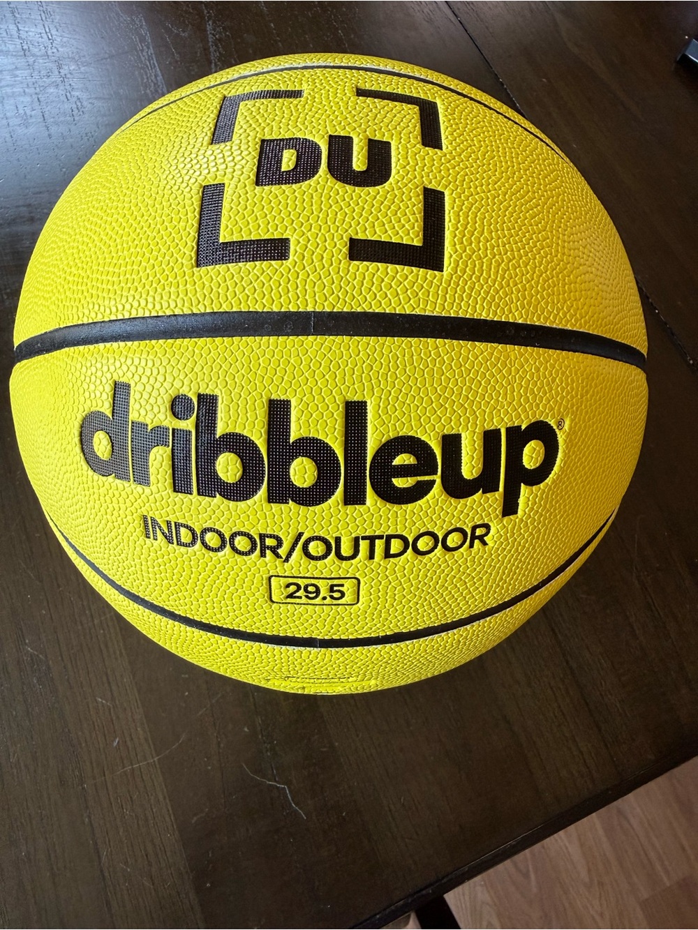 DribbleUp Indoor/Outdoor Basketball - Size 29.5
